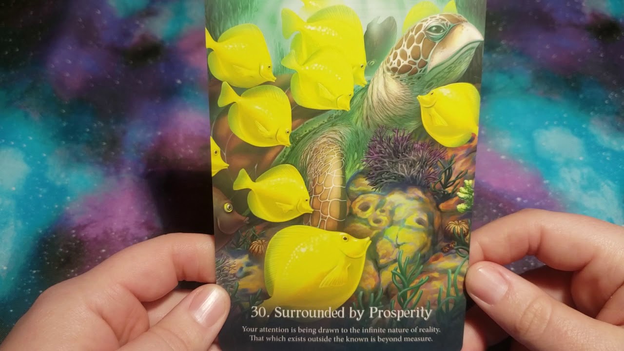 Whispers of the Ocean Oracle Cards Review
