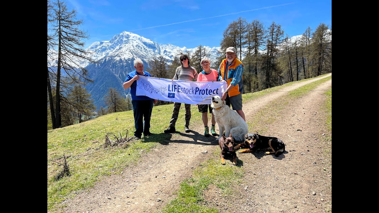 Almmeister Josef Ortler und Hirtin Celia Martínez Aragon  am Stilfser Joch
