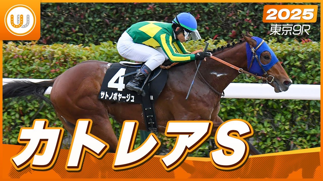 【レース映像】東京9R カトレアS｜サトノボヤージュ（戸崎圭太）｜ウイニング競馬