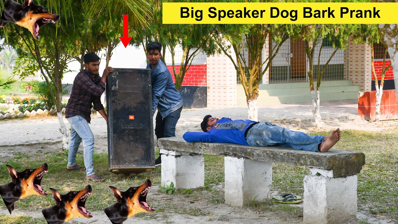 Fake Dog Bark Vs Man Scary Prank 2022 !! Try To Not Laugh Challenge - 4 Minute Fun