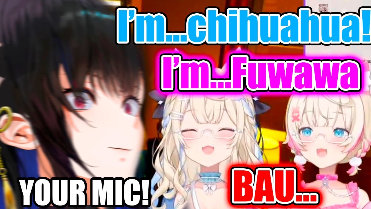 Nerissa Loses It When Fuwamoco&rsquo;s Mic Cuts Out During Their Introduction【Hololive EN】
