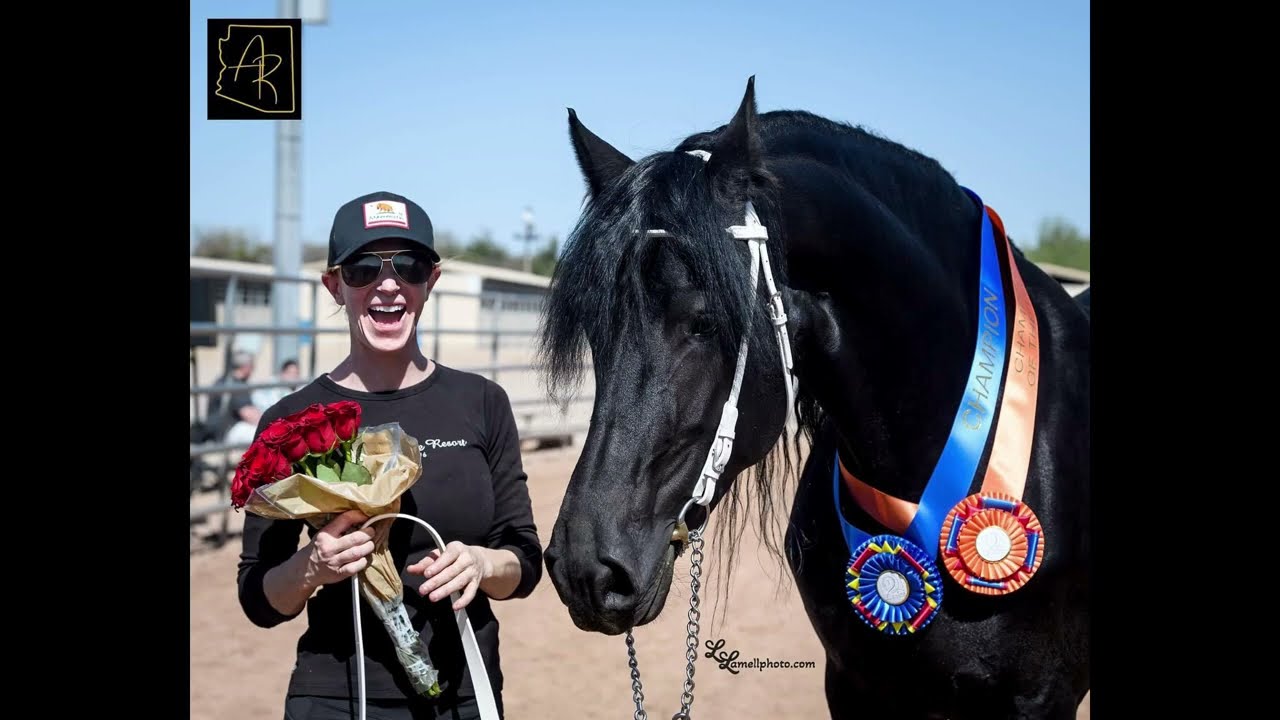 What exactly is a Friesian Keuring?