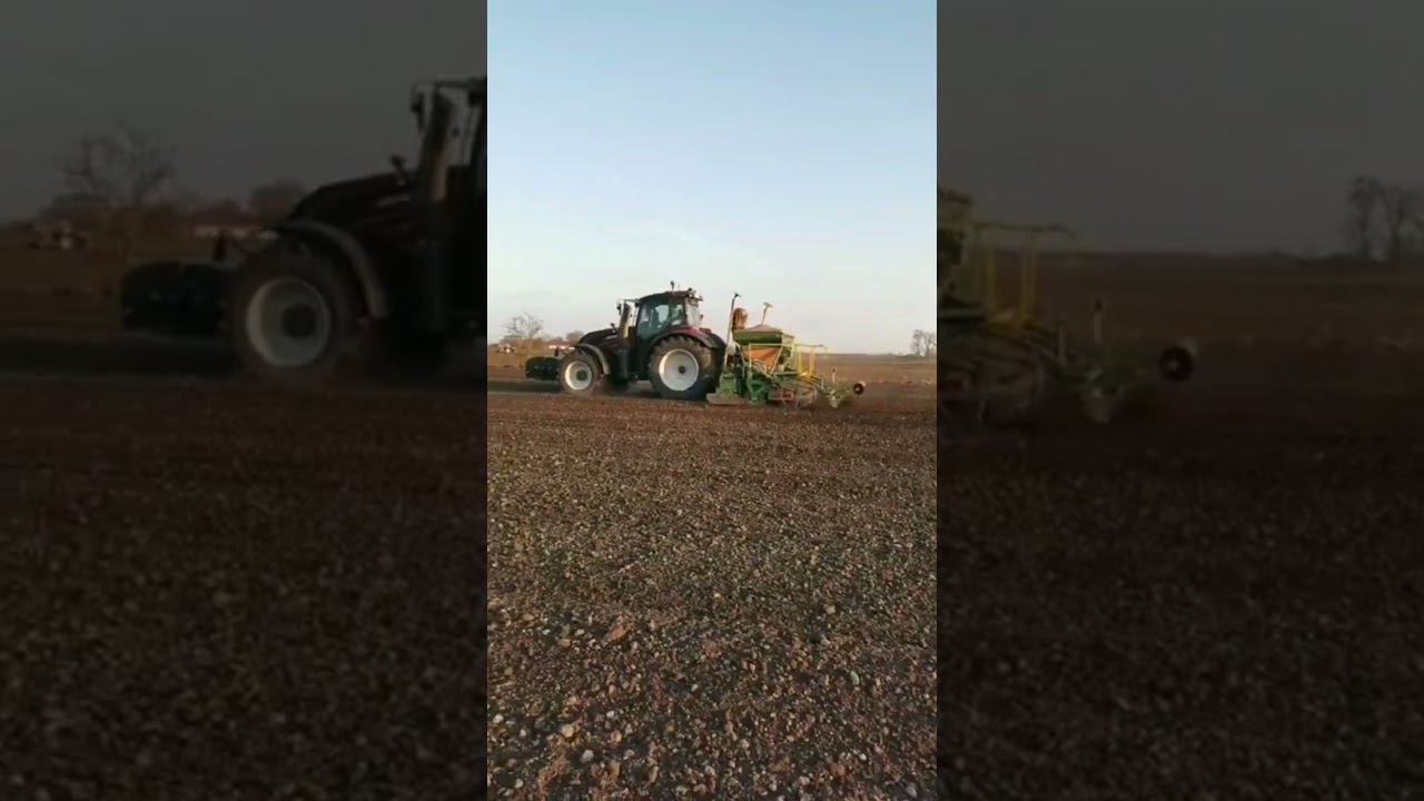 Valtra T255 + AMAZONE AD-P 403 SUPER - siewy zb&oacute;ż jarych 2026