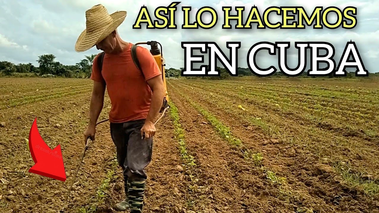 La cruda REALIDAD de los CAMPESINOS CUBANOS 🇨🇺