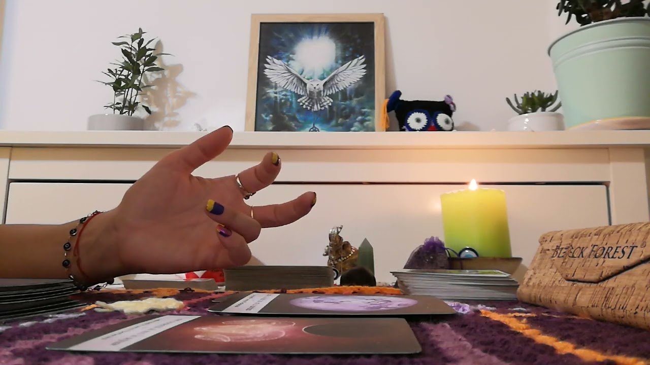 😍🌳🌺AU ÎNNEBUNIT SALCÂMII ⚡ȘI EL/EA DE DORUL TĂU🌺🌳😍CONFESIUNILE UNUI ÎNDRĂGOSTIT💜🦉💛