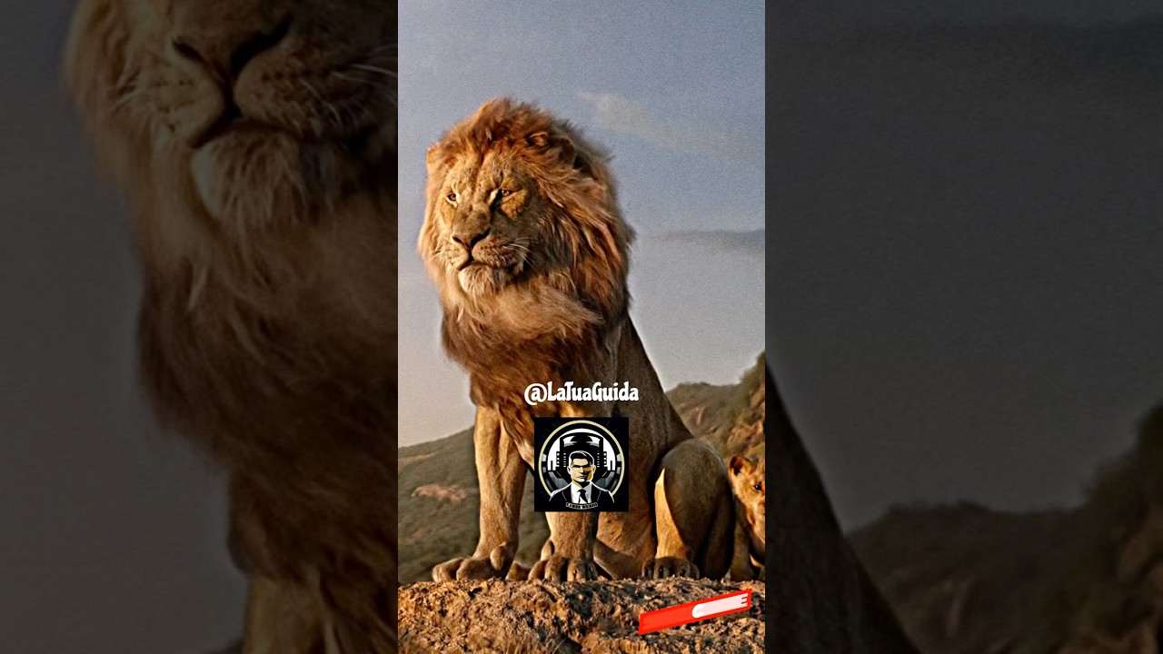 Il miglior discorso motivazionale nel nuovo film del  Re Leone - Mufasa Insegna