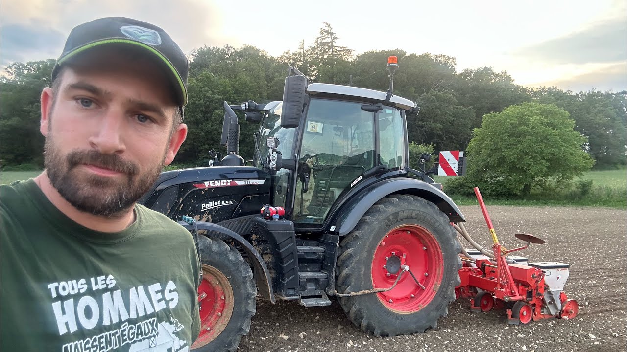 Semis original aujourd’hui, des haricots