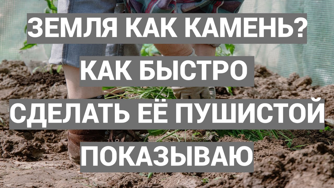 Как работает высококонцентрированное удобрение на целине