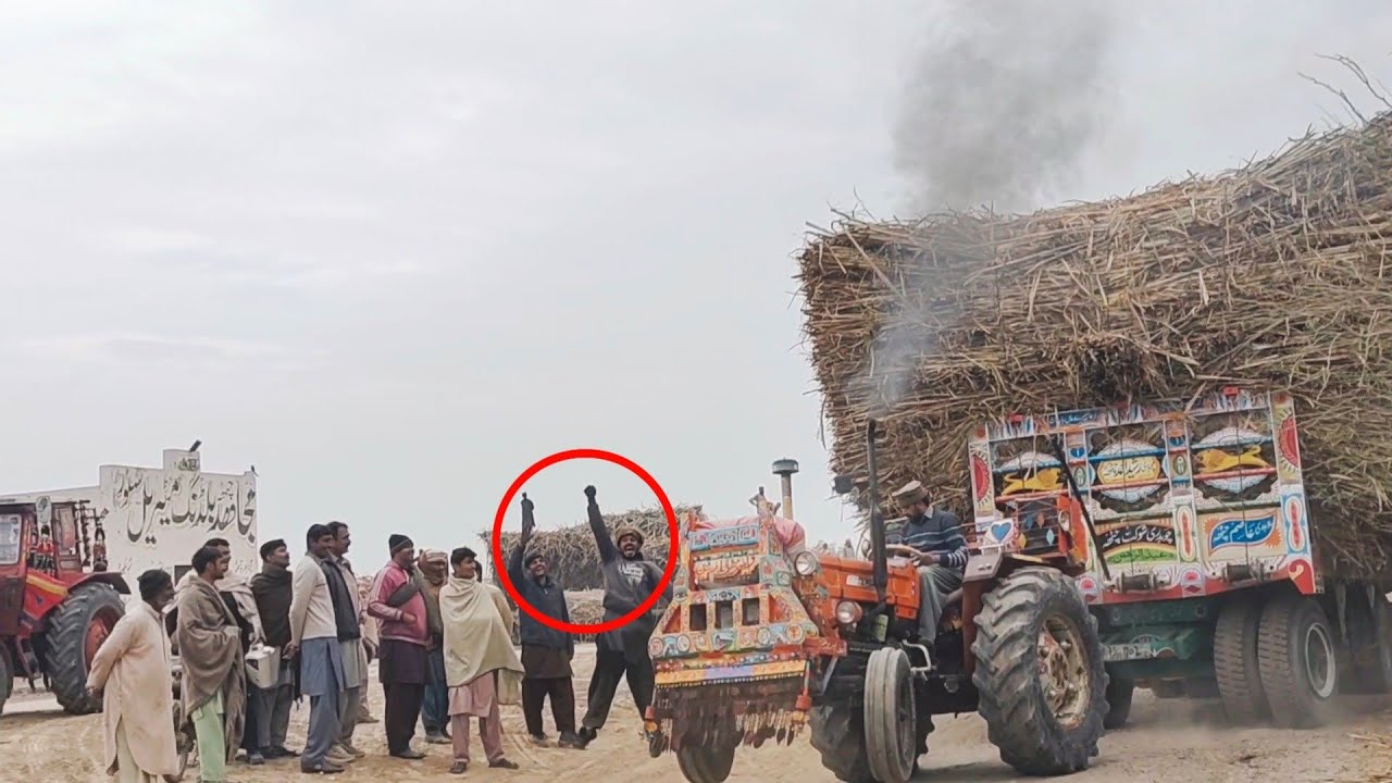 Fiat 640 Struggle to Pulling out Sugarcane load trailer