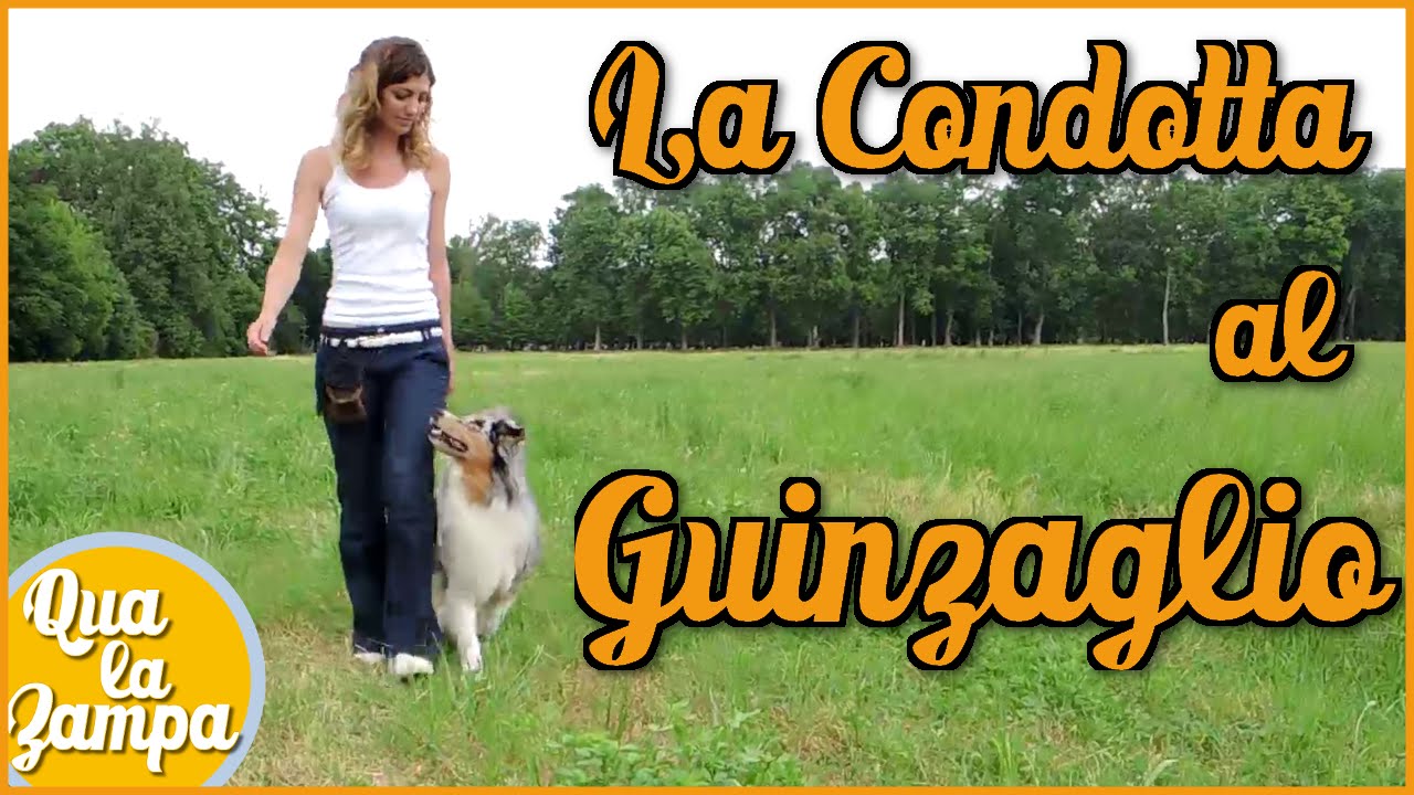 COME INSEGNARE AL CANE A NON TIRARE AL GUINZAGLIO, la 