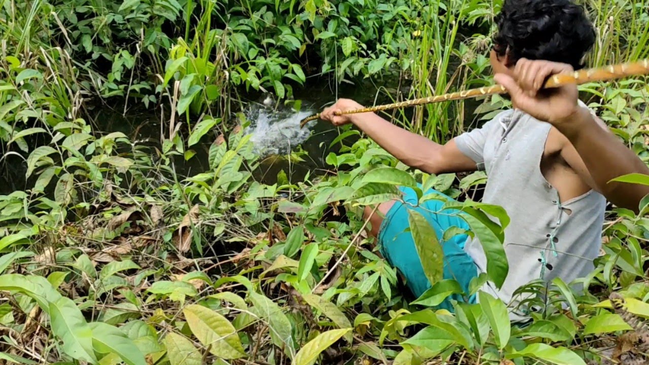 TIDAK MASUK DI AKAL!!! SPOT SEKECIL INI JADI GUDANG MONSTER...