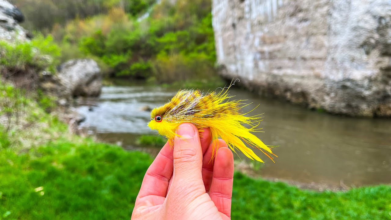 Ловля ручьевой форели на стример в небольших ручьях! (Pa Trout Fishing)