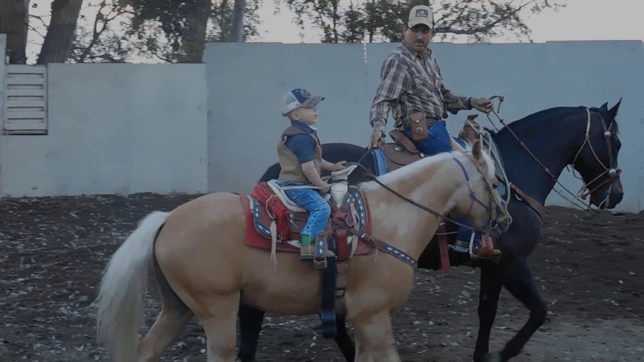 JOSE JIMENEZ CHARRO PALOMINO # 5