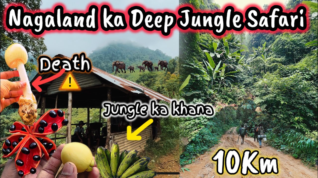 Trekking Through the 10 Km Hardest and Dangerous Road of Nagaland , Northeast