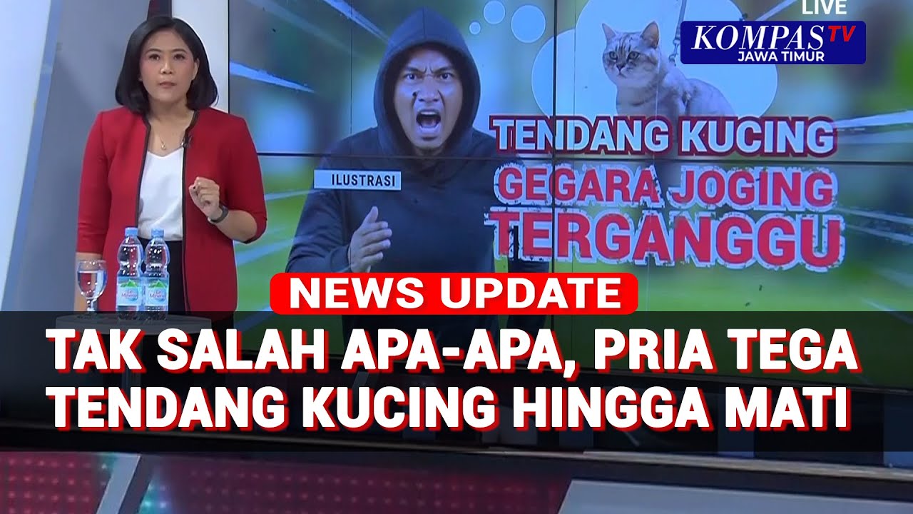 Kucing Ditendang hingga Mati Saat Joging di Blora, 'Cat Lover' Desak Pelaku Diproses Hukum!