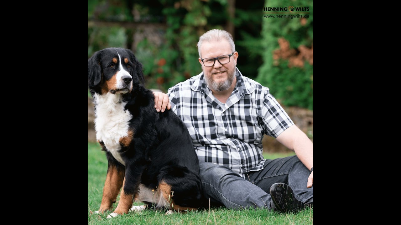 274 Meinen eigenen Hund operieren - Pyometra
