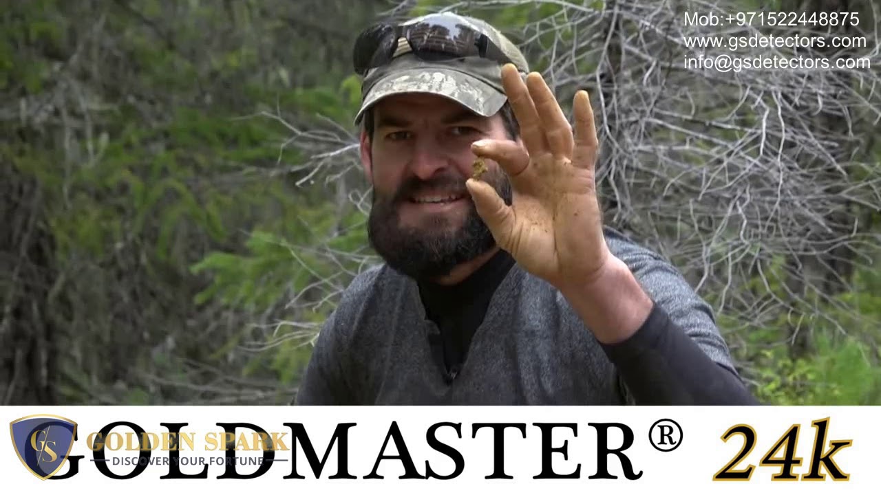 White's goldmaster 24k metal detector | Gold Detectors Online