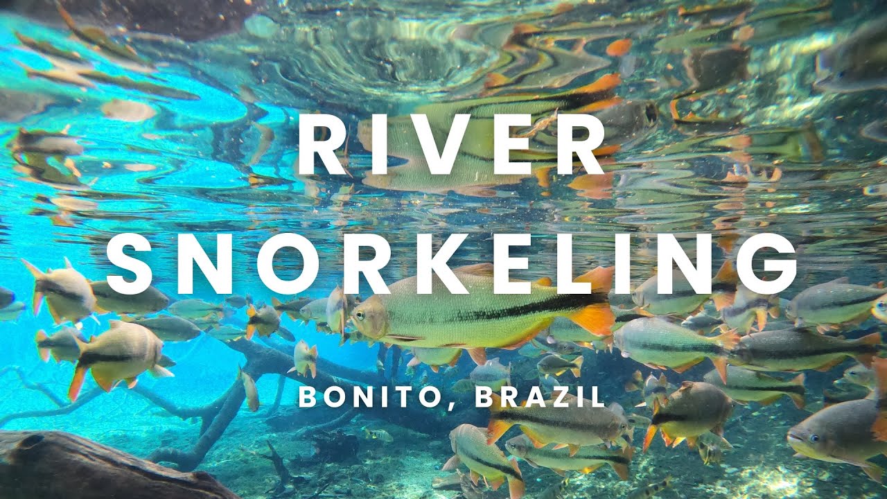 River Snorkeling in Bonito, Brazil