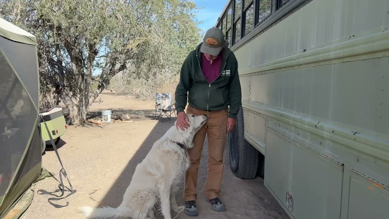 Water fill up in the ltva and a dog poem