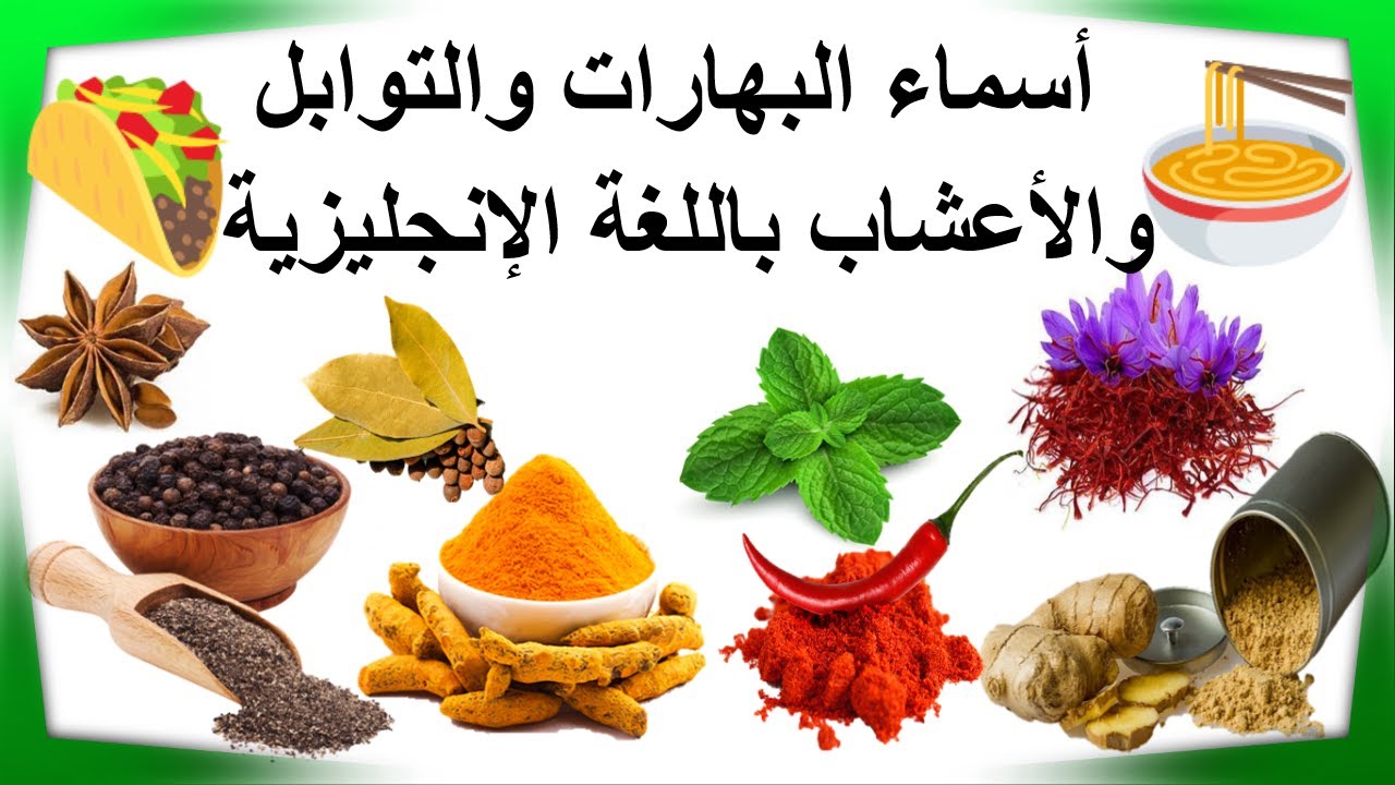 التوابل والبهارات والأعشاب بالإنجليزية herbs and spices الدرس 19