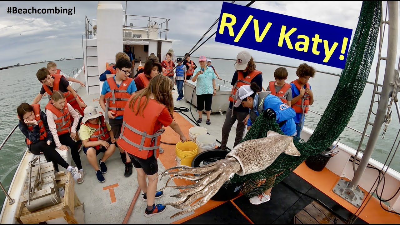 #Beachcombing - R/V Katy