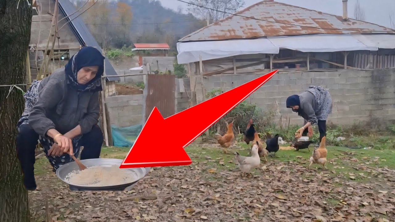 Village Daily Life: Feeding Animals, Fire Making, and Local Snack Prep