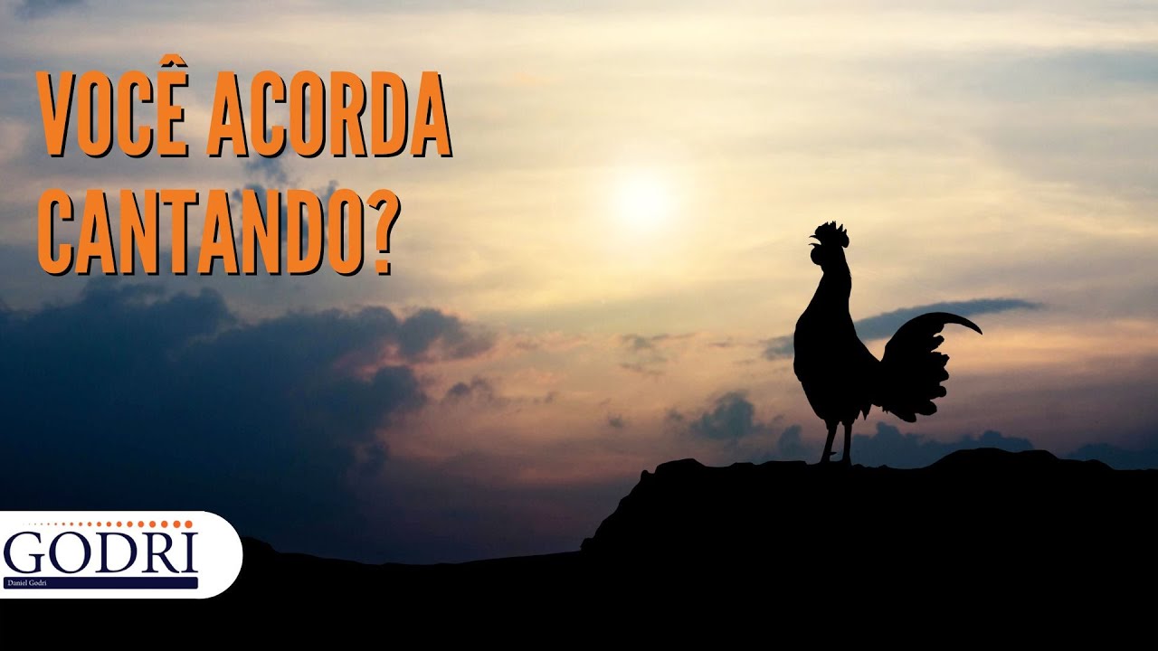 Você acorda cantando? - Daniel Godri
