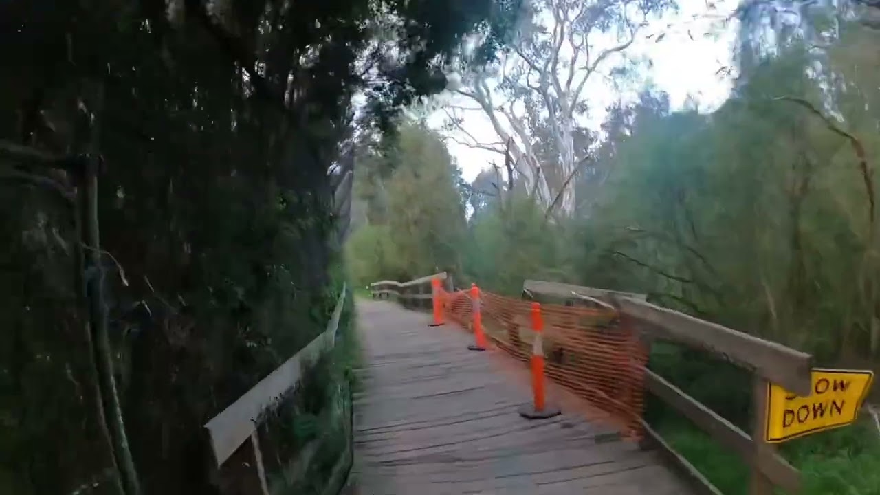 Trail Running along the Main Yarra Trail