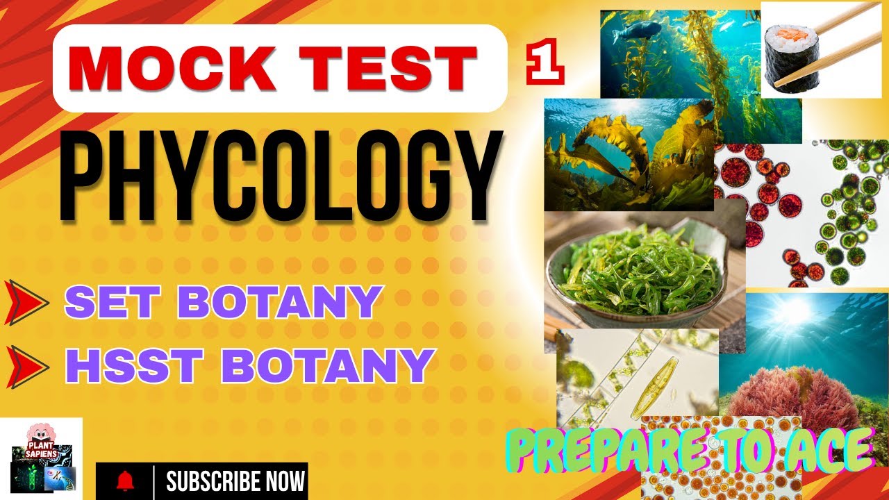 Mock Test- Phycology|SET & HSST Botany Exam Prep |   