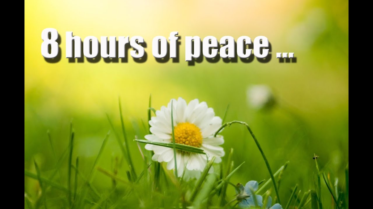 Relaxing Music with Stunning Nature | Music For Stress Relief | Meditation Music #RelaxingLife