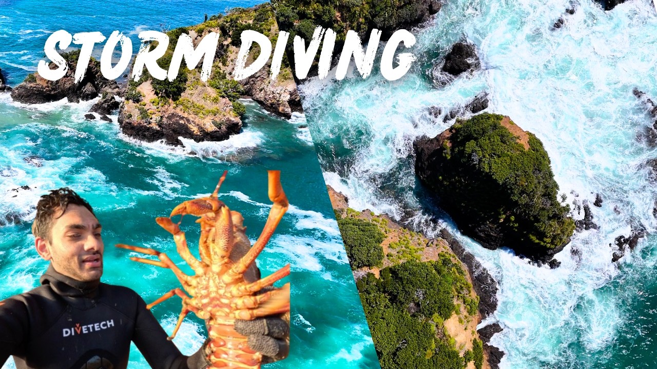 CRAYFISH DIVING AFTER A STORM – Chasing BIG crayfish (lobster) in wild NZ