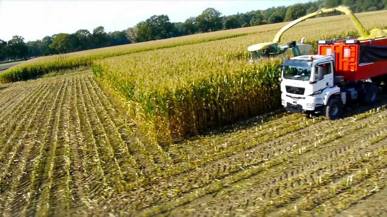 AgroTruck Maishäckseln