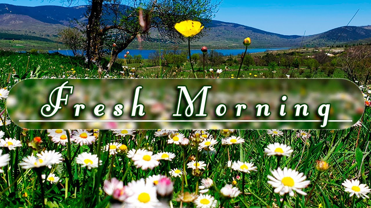🌿🌞GOOD MORNING SPRING🌼Nature Therapy to Start Your Day w/ Positive Energy🌿Fresh Morning Meditation#3