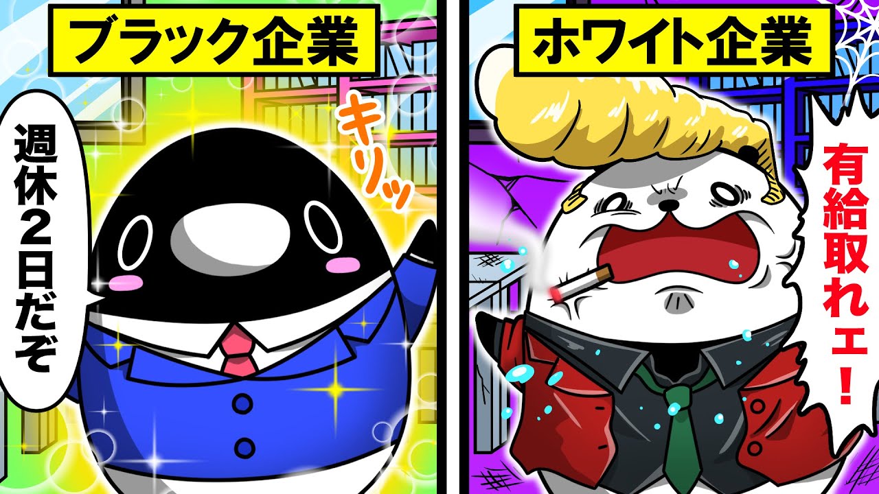 ブラック企業とホワイト企業の見分け方【アニメ】