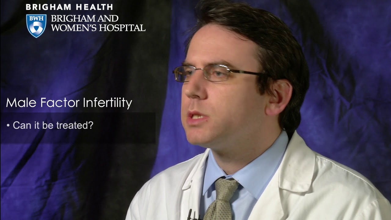 Male Factor Infertility Video &ndash; Brigham and Women&rsquo;s Hospital