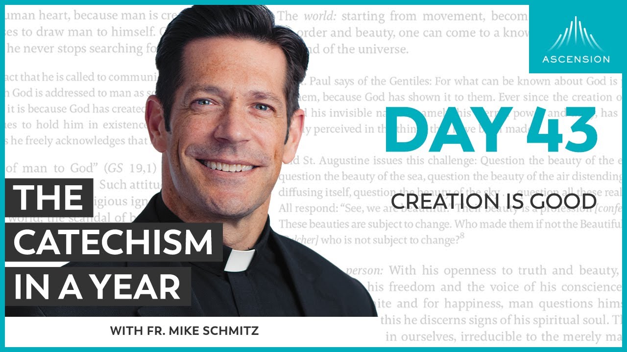 Day 43: Creation Is Good &mdash; The Catechism in a Year (with Fr. Mike Schmitz)