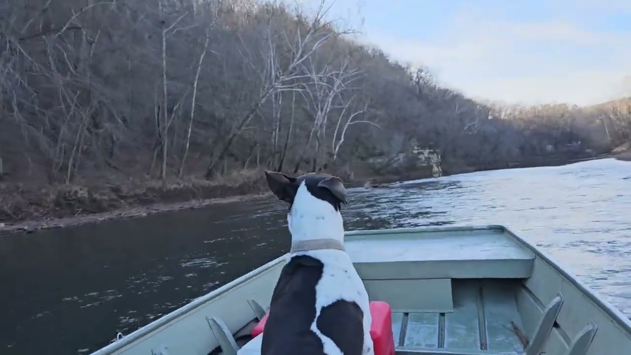 Perfect day dodging logs in jet boat 🚤🪵