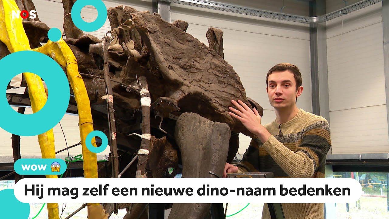 Student in Boxtel ontdekt nieuwe dino