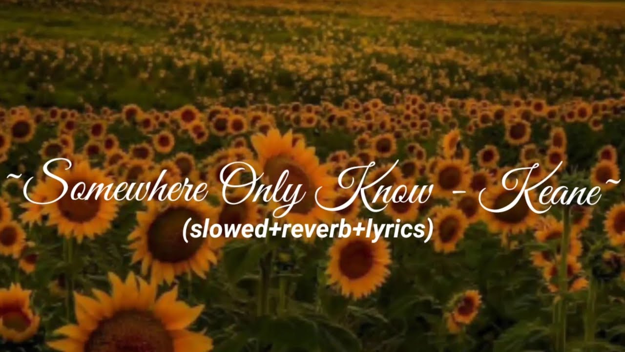 Somewhere Only We Know - Keane (Slowed+Reverb+Lyrics)