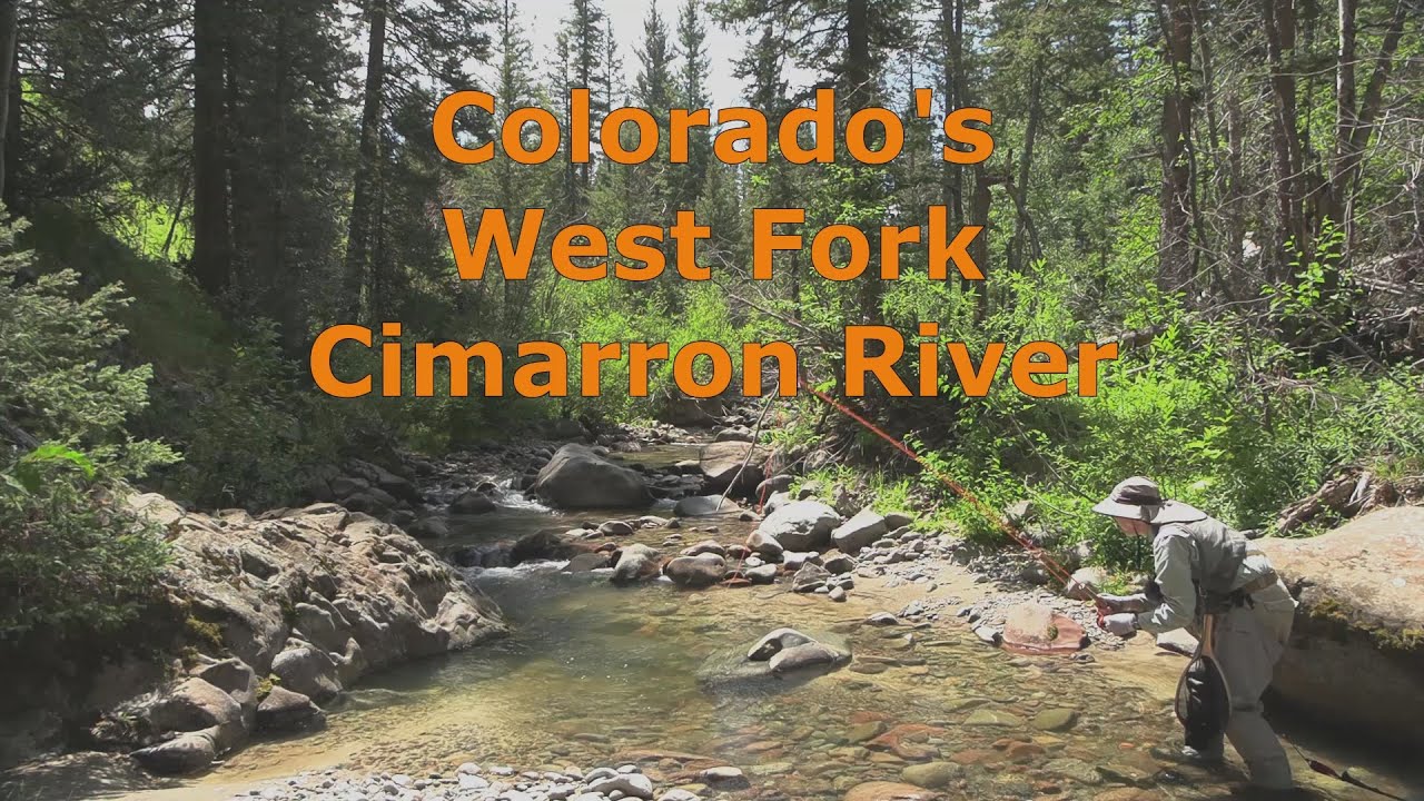Fly Fishing WF Cimarron River, Colorado