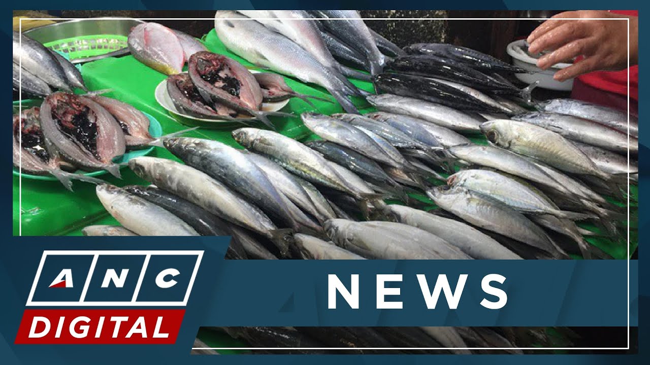 DA suspends issuance of import clearances on galunggong, other fish species | ANC