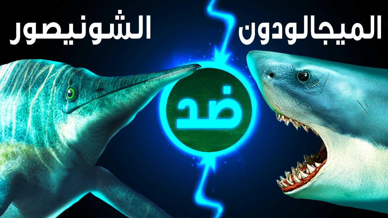 النزال الأعظم: الميغالودون ضدّ أكبر ديناصور بحري