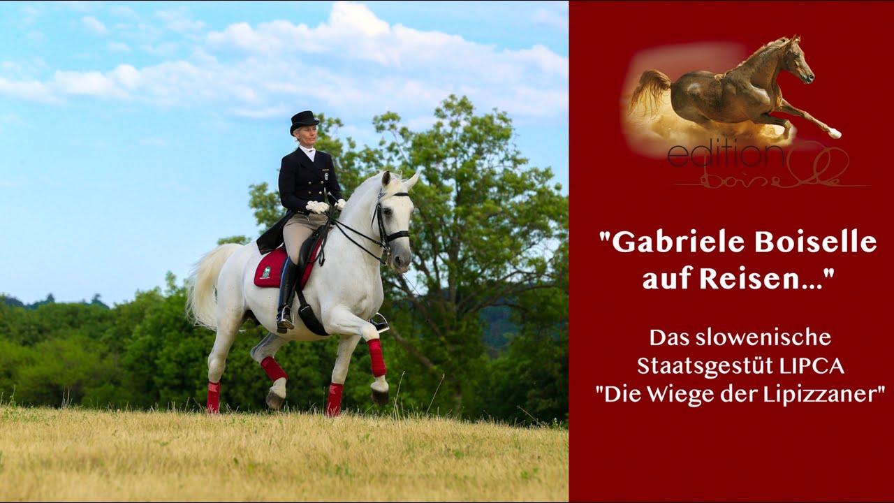 Impressionen vom slowenischen Staatsgestüt LIPICA – Die Wiege der Lipizzaner