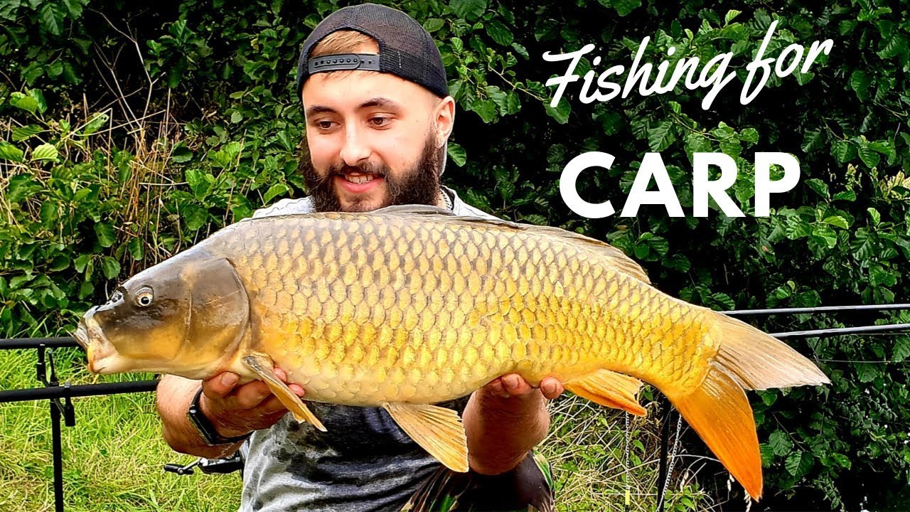 CARP FISHING - so many FISH! - *Norfolk, UK*