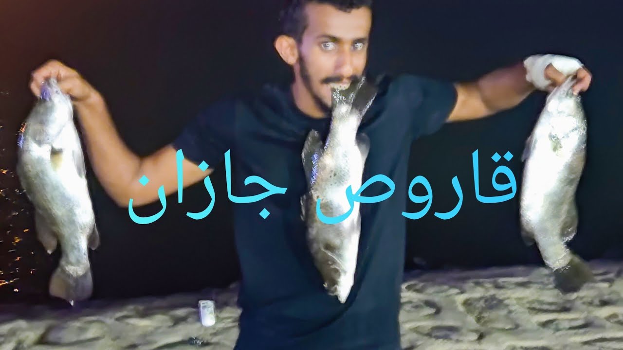 واخيرا سمكة القاروص في جازان