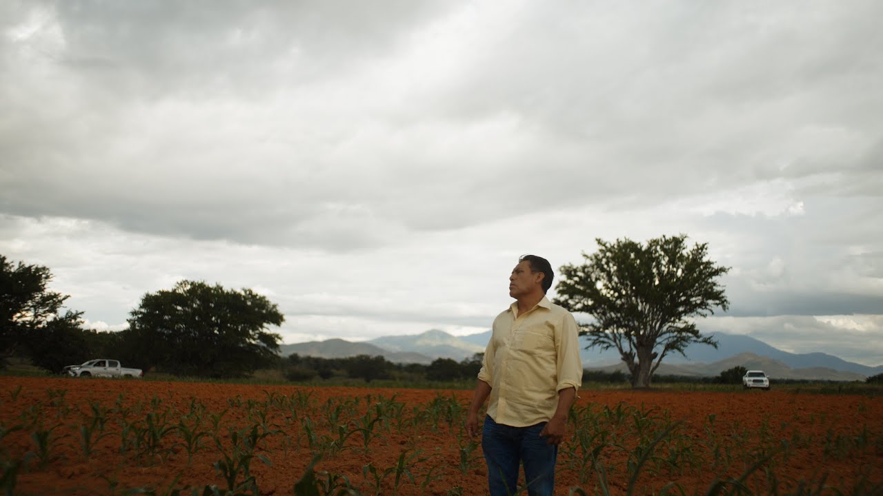 Farming Heirloom Corn in Oaxaca: Juan's Story