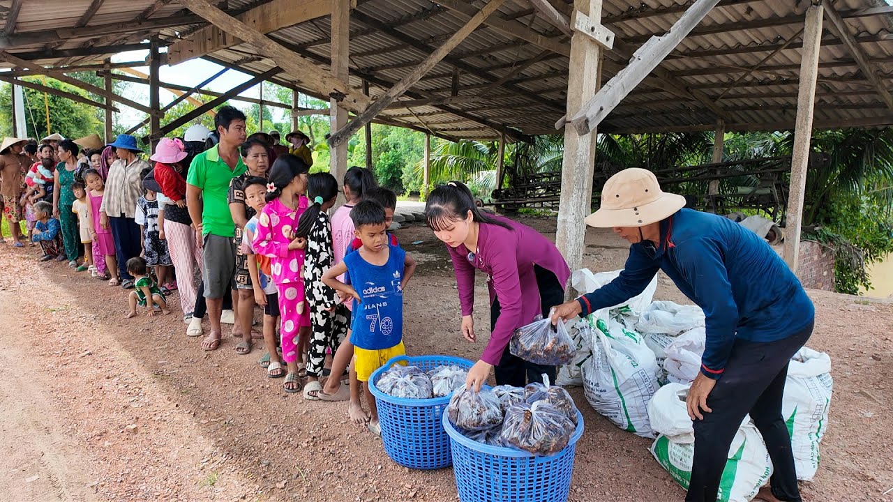 Em Lộc Ở Bình Dương Mua 231 Kí Khoai Cao của Ba Chồng Tặng Cho Bà Con Khmer | HQ #1587