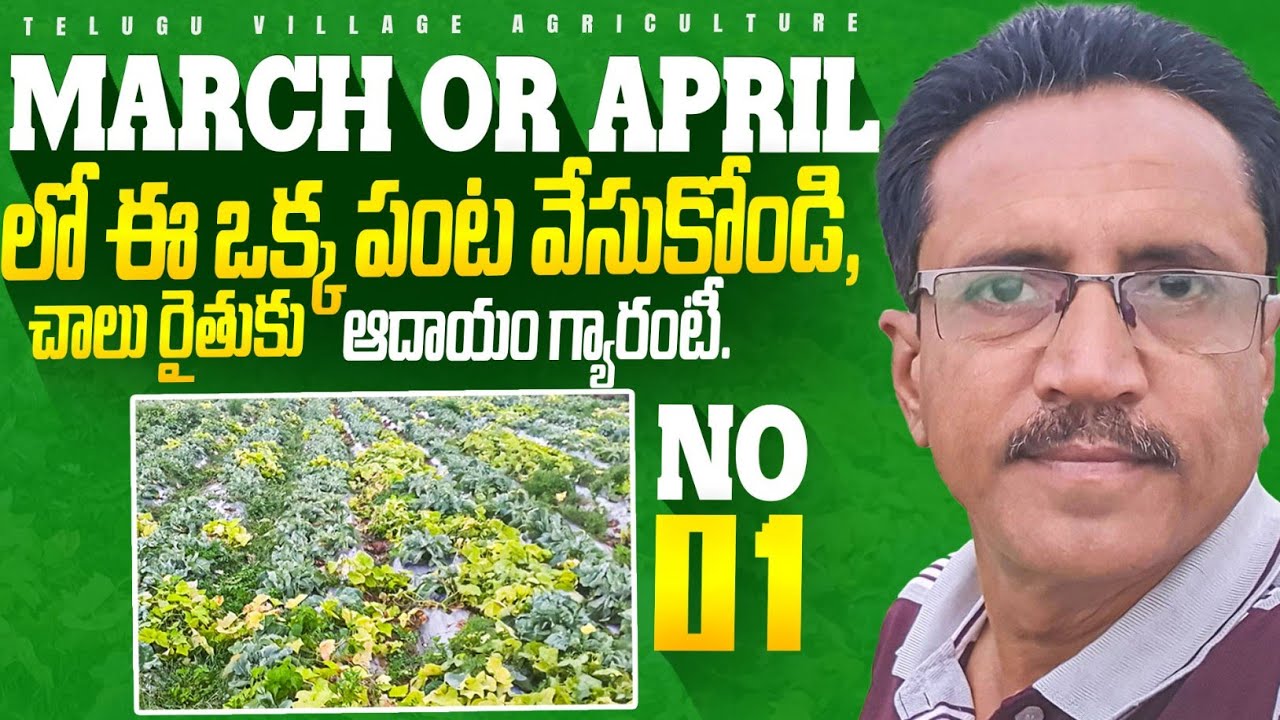 Vegitables In March  And April || మార్చ్ మరియు ఏప్రిల్ లో వేసుకొనే కూరగాయలు.