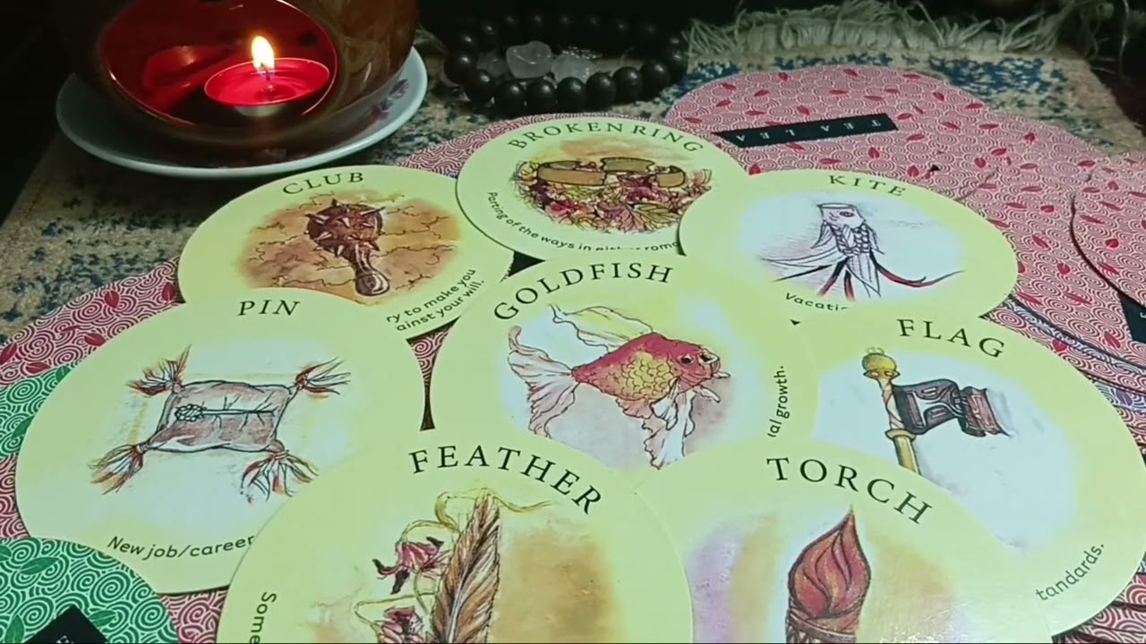 7 ngày tới bạn có gì.