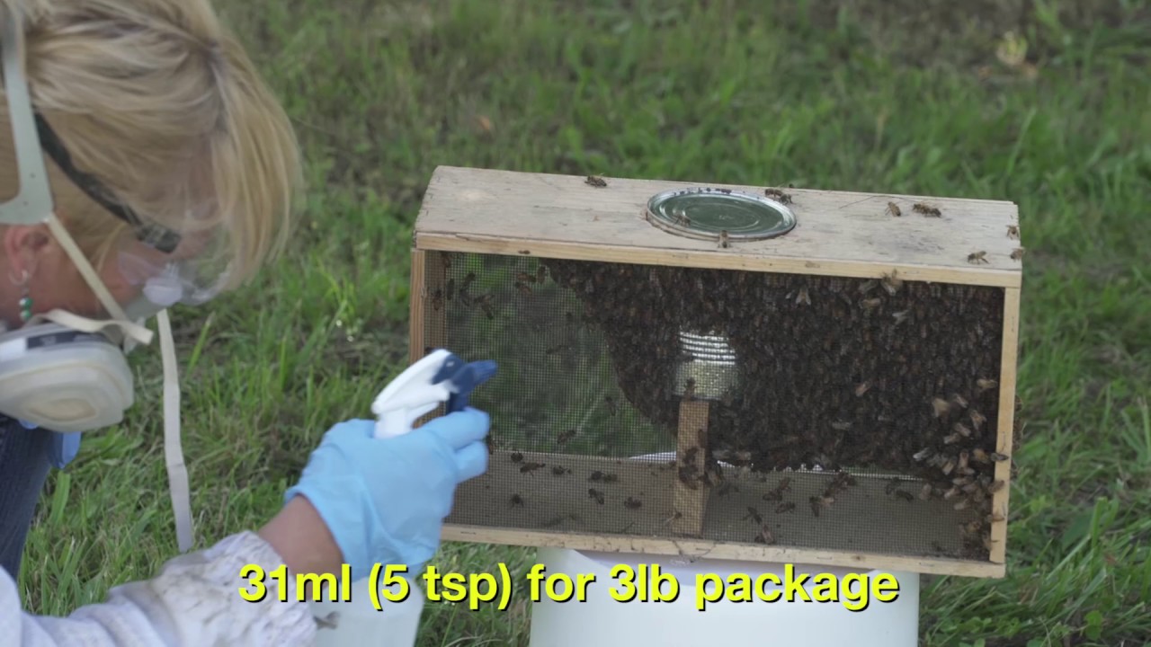 How to Use Oxalic Acid to Control Varroa Mites